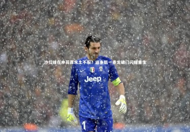 星空体育官网：沙拉维在申花真水土不服？返乡后一条龙破门闪耀重生